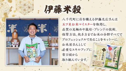【 先行予約 】 令和5年産 茨城県産 コシヒカリ 15kg （ 5kg × 3袋 ） 米 こめ コメ こしひかり 単一米 限定 おすすめ 人気 大人気 国産 茨城県 いばらき [AK005ya]