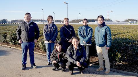 お茶 フィナンシェ 10個 セット（緑茶 4個、ほうじ茶 3個、和紅茶 3個）猿島茶使用 ふるさと納税 10000円 国産 お菓子 スイーツ 猿島茶 [AF128ya]