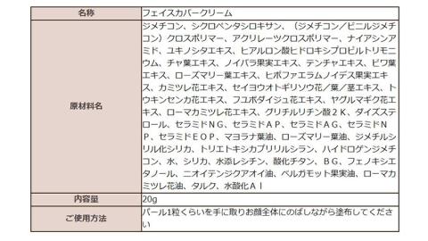 THE FUTURE ( ザフューチャー )  フェイスカバークリーム 20g 男性化粧品 フェイス用 顔 汗 防止 クリーム メンズコスメ 化粧下地 [BX026ya]