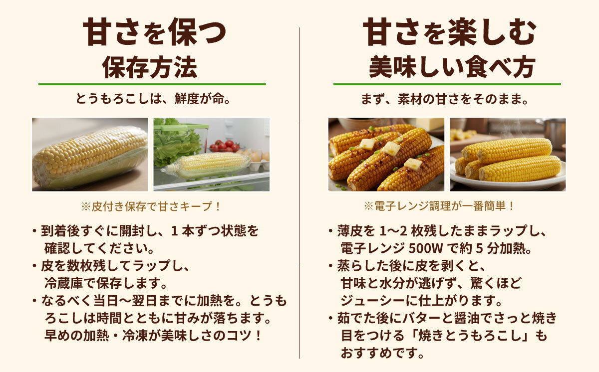 【先行予約 2027年6月中旬以降発送 】 【 令和9年産 】深夜採り 朝出荷 とうもろこし （ ゴールドラッシュ ） 約 6kg トウモロコシ スイートコーン コーン 野菜 産地直送 期間限定 極甘 岩田さん 昼めし旅 [AX019ya] ゴールドラッシュ（約6kg）