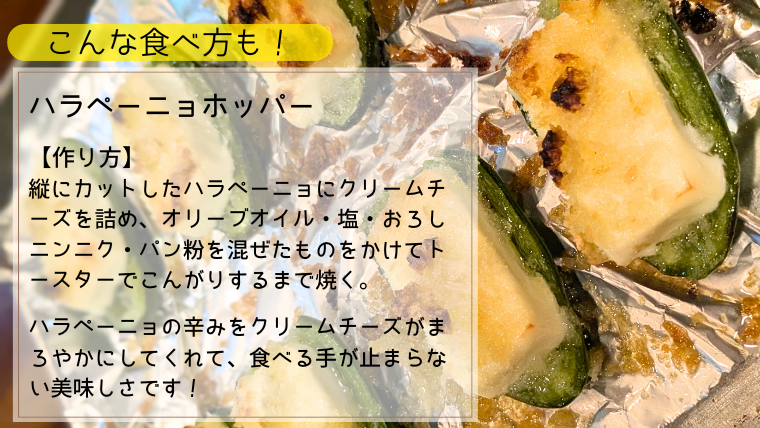 【 先行予約 2026年9月上旬順次発送】 採りたてフレッシュなハラペーニョ 辛くて旨い！ 1kg コジカジュ園 農家直送 茨城県 八千代町 [CX008ya]