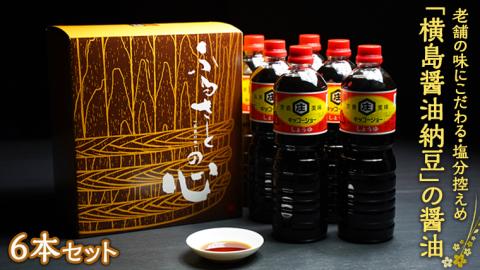 老舗の味にこだわる「横島醤油納豆」の醤油　６本セット　[AO012ya]