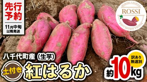 【 先行予約 2024年11月中旬以降発送 】訳あり 茨城 八千代町産 さつまいも 紅はるか 生芋 土付き 無選別 約 10kg 長期熟成 べにはるか いも イモ 芋 おやつ  [AX032ya]