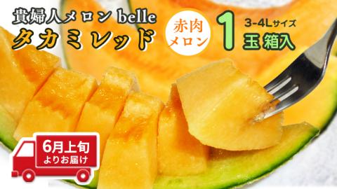 ＜先行予約＞【2023年6月上旬以降発送】貴婦人メロン「belle」 タカミレッド 赤肉メロン メロン 貴味 タカミ 赤肉 [AY004ya]