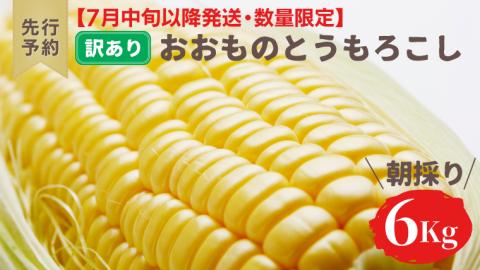 【先行予約 2026年7月中旬以降発送 】【 令和8年産 】【 訳あり 】 八千代町産 農家直送 朝採り とうもろこし おおもの 6kg トウモロコシ スイートコーン 産地直送 規格外  不揃い 傷 [AX031ya][SZRY]
