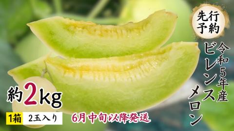 【 先行予約 6月中旬以降発送 】 令和5年産 ビレンス メロン 約2kg 1箱 2玉入り めろん 期間限定 産地直送 果物 フルーツ 青肉 甘い 新鮮 希少 ギフト [AV007ya]