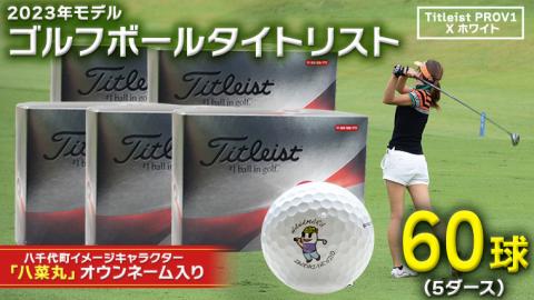 【 2023年9月30日まで 】 ゴルフボール タイトリスト PROV1X ホワイト 5ダース ( 60球 ) 八菜丸 プロV1x Titleist ゴルフ ボール [BW022ya]