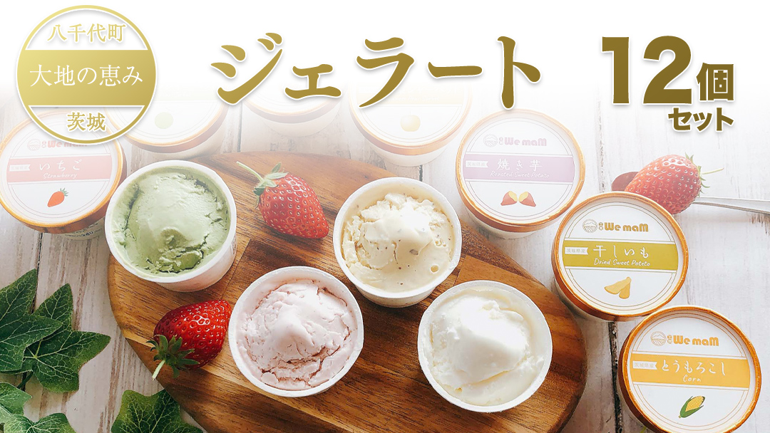 八千代町 大地の恵み ジェラート 12個 セット アイス ソルベ スイーツ デザート 詰め合わせ 詰合せ ふるさと納税 10000円 特製 [AU092ya]