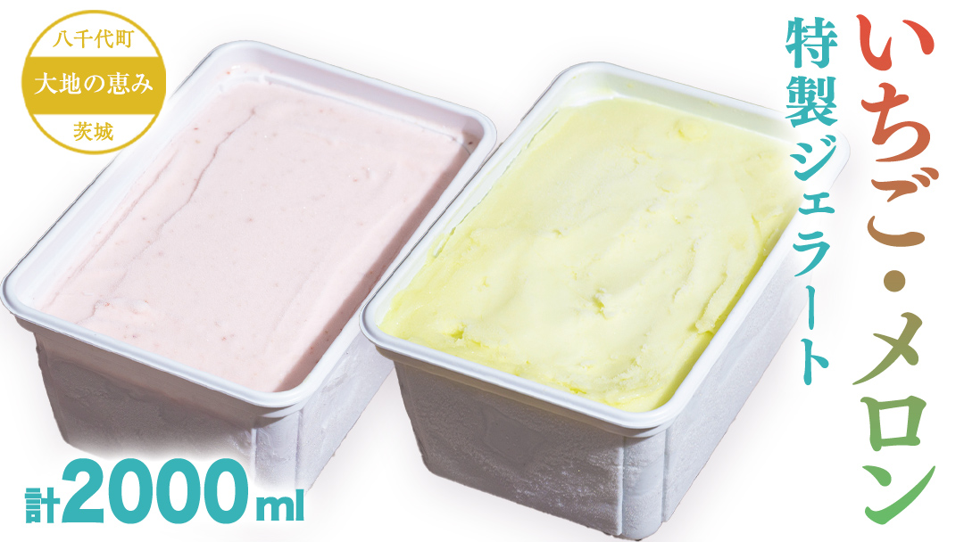 大地の恵み！！ 特製 ジェラート ( いちご ・ メロン 各1個 ) 計 2000ml アイス デザート スイーツ ふるさと納税 10000円 イチゴ いちご 苺 果物 旬 [AU099ya]