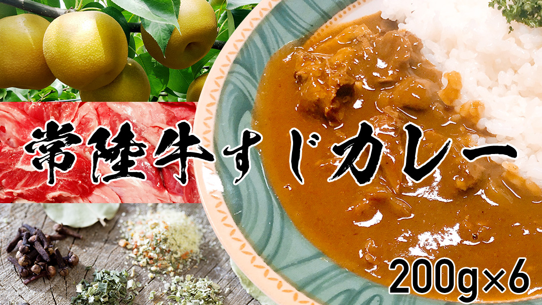 【茨城県共通返礼品】常陸牛すじカレー 200g ×6 常陸牛 カレー 牛肉 時短 ふるさと納税 10000円 [AU104ya]