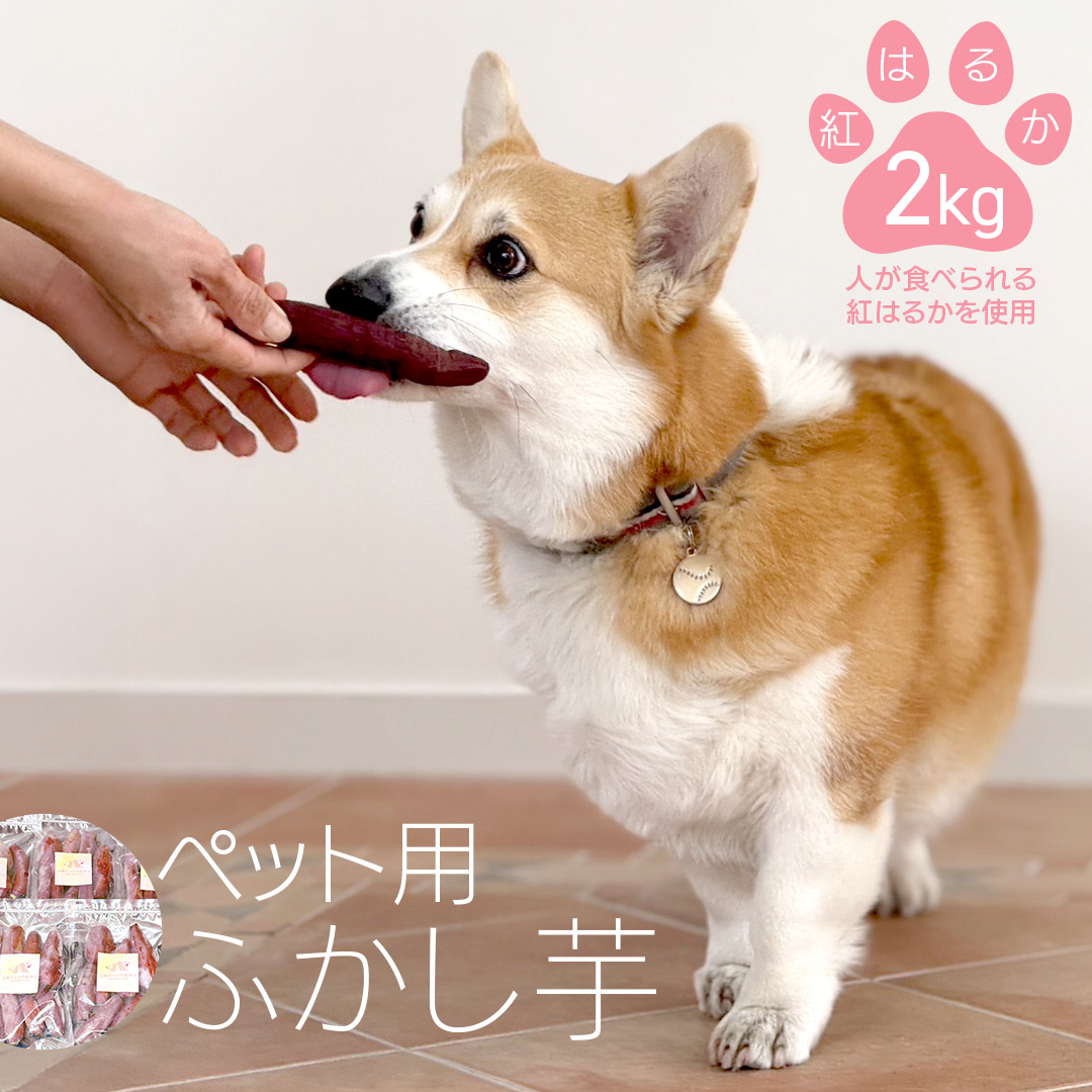 動物 ペットおやつ ペット用 ふかし芋 小芋 紅はるか 芋 いも おやつ 動物 ペットフード 犬 猫 間食 ヘルシー オヤツ 2kg [AU119ya] ペット用ふかし芋 約2kg