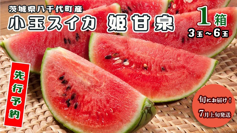 ＜先行予約＞【2026年7月上旬以降発送】八千代町産 小玉スイカ 姫甘泉 1箱 （3～6玉入り） すいか スイカ 西瓜 小玉 果物 フルーツ お取り寄せ 産地直送 茨城県 [AV002ya]