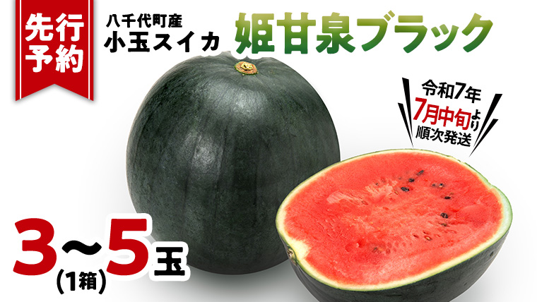 先行予約 小玉スイカ 姫甘泉ブラック 1箱（３～5玉入り）八千代町産 【 7月中旬 以降発送】 黒皮 すいか スイカ 西瓜 小玉 果物 フルーツ お取り寄せ [AV003ya]