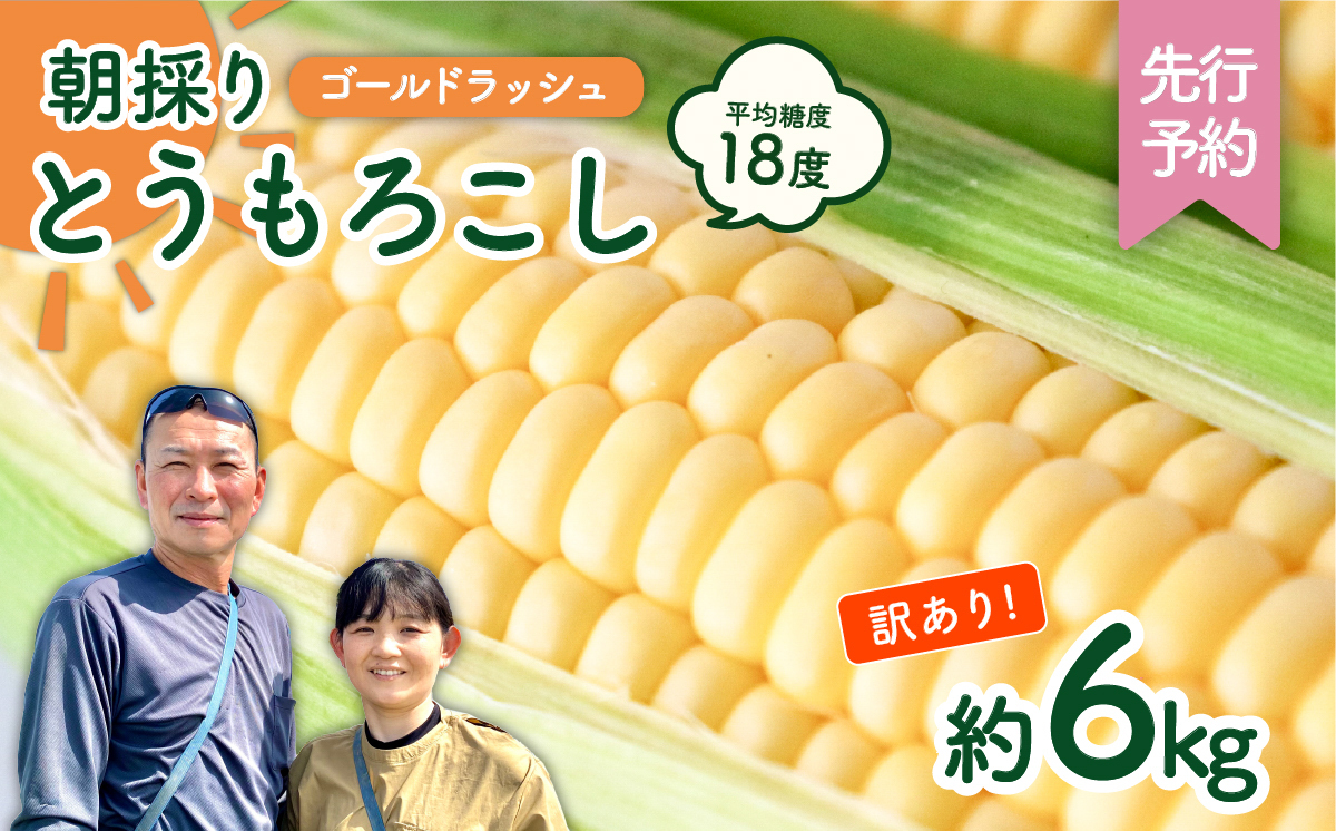 【先行予約 2026年6月中旬以降発送 】 【 令和8年産 】【 訳あり 】 朝採り とうもろこし （ ゴールドラッシュ ） 約 6kg トウモロコシ スイートコーン コーン 野菜 産地直送 期間限定 岩田さん 昼めし旅 [AX021ya] 【訳あり】ゴールドラッシュ（約6kg）