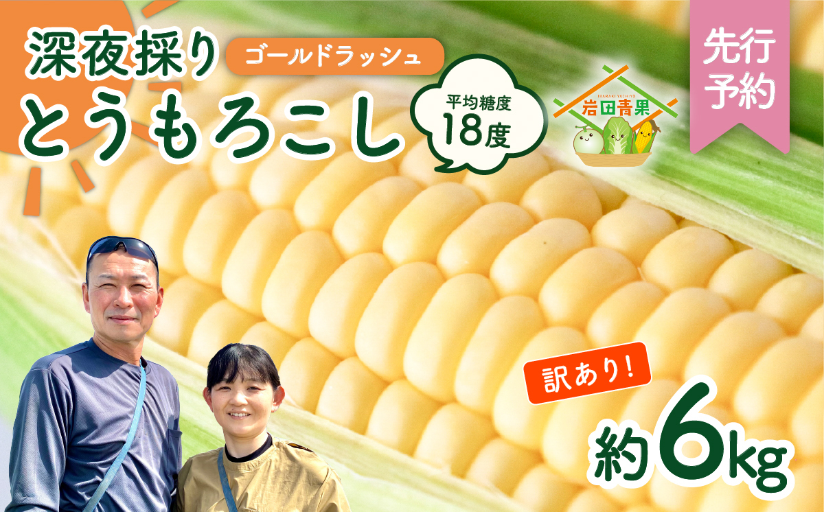 【先行予約 2027年6月中旬以降発送 】 【 令和9年産 】【 訳あり 】 深夜採り 朝出荷 とうもろこし （ ゴールドラッシュ ） 約 6kg トウモロコシ スイートコーン コーン 野菜 産地直送 期間限定 岩田さん 昼めし旅 [AX021ya] ゴールドラッシュ（約6kg：訳あり）