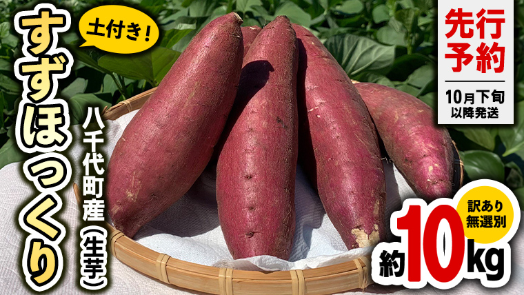 【 2025年10月下旬以降発送 】 訳あり 茨城 八千代町産 さつまいも すずほっくり 土付き 無選別 生芋 約 10kg 農家直送 熟成 イモ 芋 いも おやつ デザート 秋 [AX036ya]