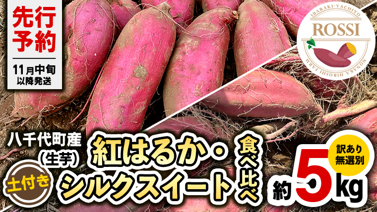 【 先行予約 2024年11月中旬以降発送 】 訳あり 無選別 八千代町産 紅はるか シルクスイート 2種 食べ比べ 生芋 土付き 合計 約 5kg さつまいも サツマイモ 芋 いも イモ ワケアリ 訳アリ 八千代町 ふるさと納税 5000円[AX044ya]