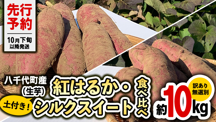 【 先行予約 2024年10月下旬以降発送 】 訳あり 無選別 八千代町産 紅はるか シルクスイート 2種 食べ比べ 生芋 土付き 合計 約 10kg さつまいも サツマイモ 芋 いも イモ ワケアリ 訳アリ 八千代町 ふるさと納税 8000円[AX049ya]