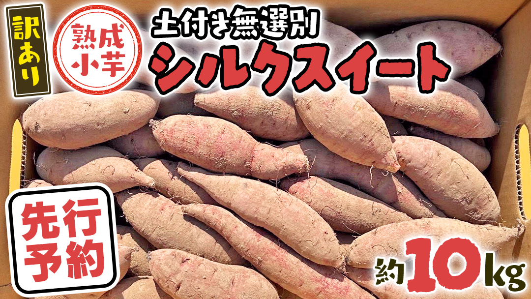 【 先行予約 2025年11月下旬以降発送 】【 訳あり 】 八千代町産 熟成 小芋 シルクスイート 生芋 土付き 10kg さつまいも サツマイモ 芋 イモ ふるさと納税 6000円 訳アリ [AX050ya]