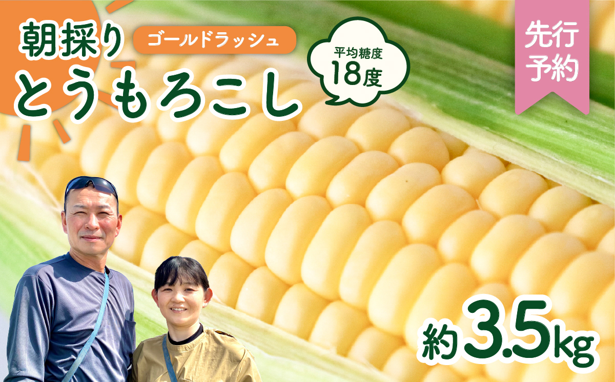 【先行予約 2026年6月中旬以降発送 】 【 令和8年産 】朝採り とうもろこし （ ゴールドラッシュ ） 約 3.5kg トウモロコシ 朝採り 甘い 新鮮 スイートコーン コーン 野菜 極甘 岩田さん 2026 [AX058ya] ゴールドラッシュ（約3.5kg）