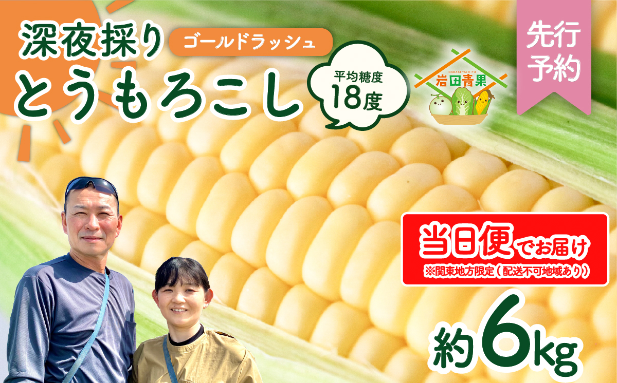 【関東＋山梨県限定 当日便】【先行予約 2026年6月中旬以降発送 】 【 令和8年産 】深夜採り 朝出荷 とうもろこし （ ゴールドラッシュ ） 約6kg トウモロコシ 深夜採り 甘い 新鮮 スイートコーン コーン 野菜 極甘 岩田さん 2026 [AX066ya] 【当日便】ゴールドラッシュ（約6kg）