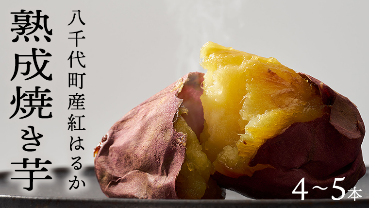 【 先行予約 2025年1月以降発送 】 oimo_tokyo 熟成 焼き芋 八千代町産 紅はるか 4本 ～ 5本 [BY001ya]