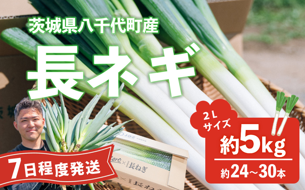 長ネギ 約5kg 2L 約24本～30本 茨城県産 八千代町産 野菜 農家直送 化成肥料不使用 有機肥料100% ねぎ 長ねぎ ネギ 旨味 認定農業者 8500円 [DJ001ya] 【スピード発送】約24-30本（2L）| 8,500円