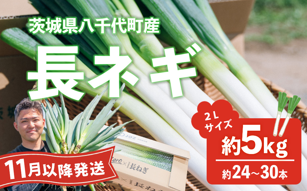 【先行受付 2026年11月以降発送開始】長ネギ 約5kg 2L 約24本～30本 茨城県産 八千代町産 野菜 農家直送 化成肥料不使用 有機肥料100% ねぎ 長ねぎ ネギ 旨味 認定農業者 8500円 [DJ002ya] 【11月以降発送】約24-30本（2L）| 8,500円