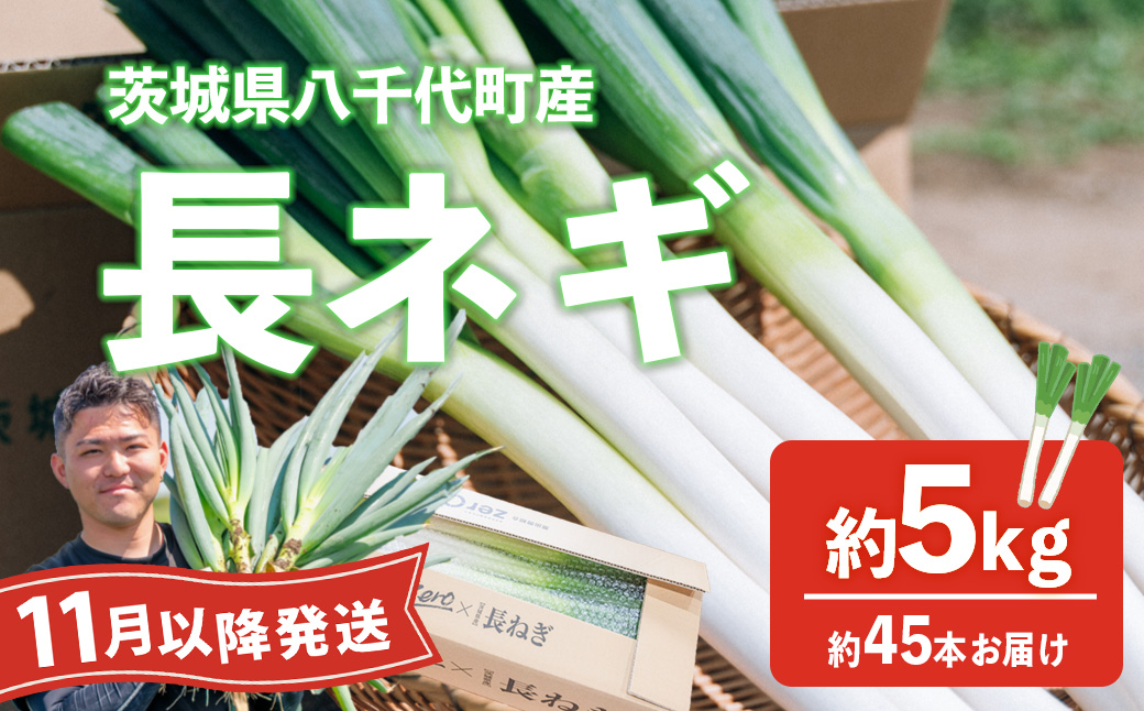 【先行受付 2026年11月以降発送開始】長ネギ 約5kg 約45本 茨城県産 八千代町産 野菜 農家直送 化成肥料不使用 有機肥料100% ねぎ 長ねぎ ネギ 旨味 認定農業者 9000円 [DJ004ya] 【11月以降発送】約45本 | 9,000円