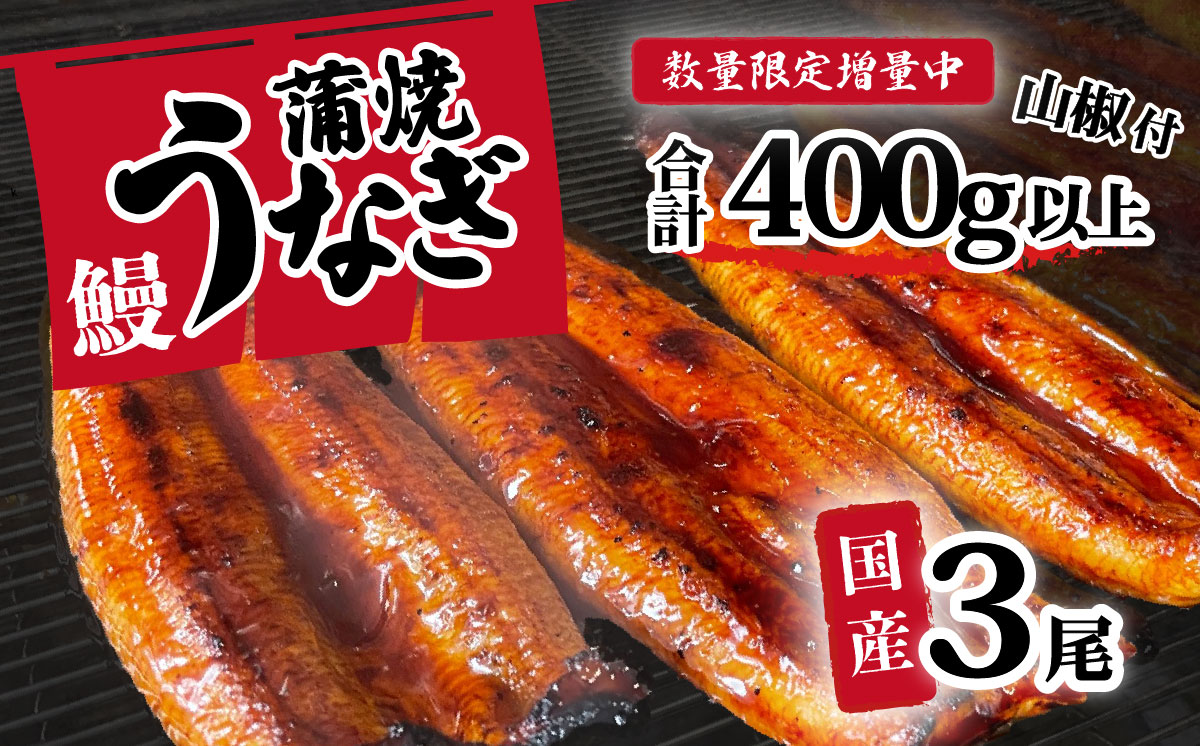 【数量限定増量中】【 訳アリ 】国産うなぎ 蒲焼き 3尾 セット ( 400g ) 大きさ の不揃い 山椒付き ウナギ 鰻 ふぞろい 不揃い うな重 ひつまぶし 人気 茨城 八千代町 ふるさと納税 冷凍 [SF277ya] 【数量限定増量中】上うなぎ 3尾 400g
