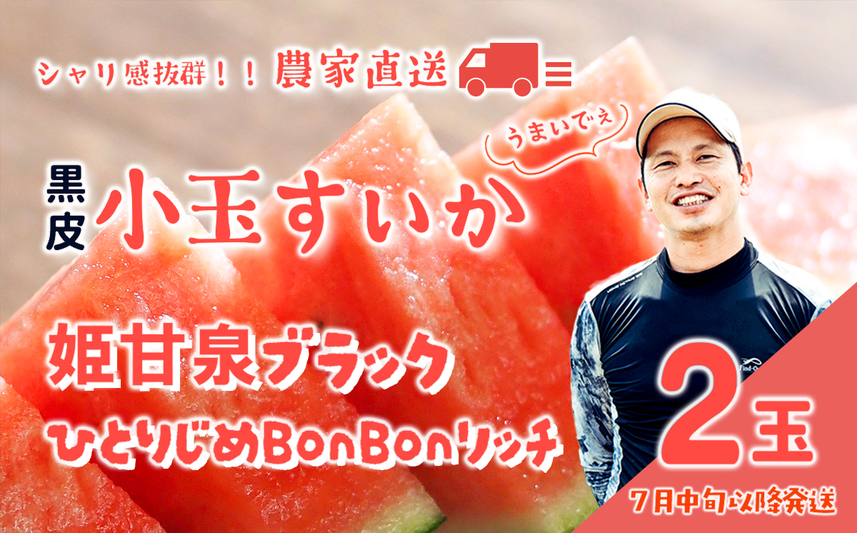 【 先行予約 2026年7月中旬以降発送 】八千代町産 黒皮 小玉スイカ 姫甘泉ブラック ひとりじめBonBonリッチ 1箱（2玉入） 黒皮 すいか 西瓜 [SF004ya] 黒小玉すいか 1箱