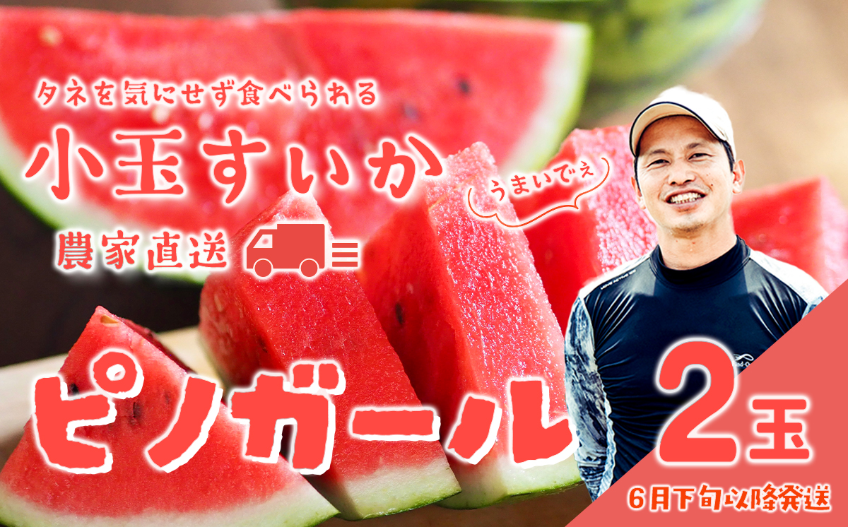 【 先行予約 2026年6月下旬以降発送 】八千代町産 小玉スイカ ピノガール 1箱（2玉入） タネが小さい すいか [SF005ya] ピノガール 1箱