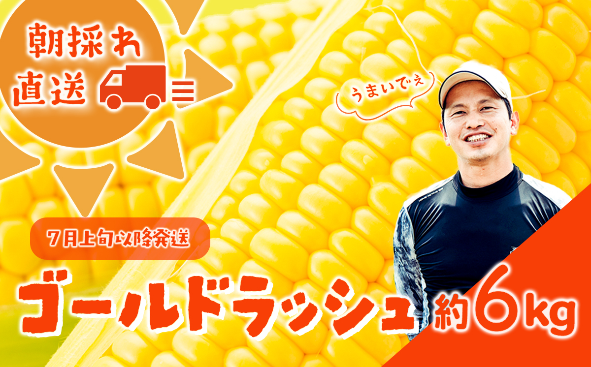 【 先行予約 2026年7月上旬以降発送 】【農家直送】 朝採り トウモロコシ （ ゴールドラッシュ ）1箱 約6kg  とうもろこし スイートコーン 産地直送 期間限定 甘い [SF018ya]
