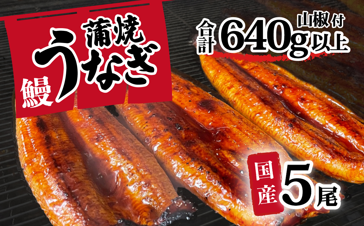 【 訳アリ 】国産うなぎ 蒲焼き 5尾 セット ( 640g 以上) 大きさ の不揃い 山椒付き ウナギ 鰻 ふぞろい 不揃い うな重 ひつまぶし 人気 茨城 八千代町 ふるさと納税 冷凍 [SF109ya] 上うなぎ 5尾
