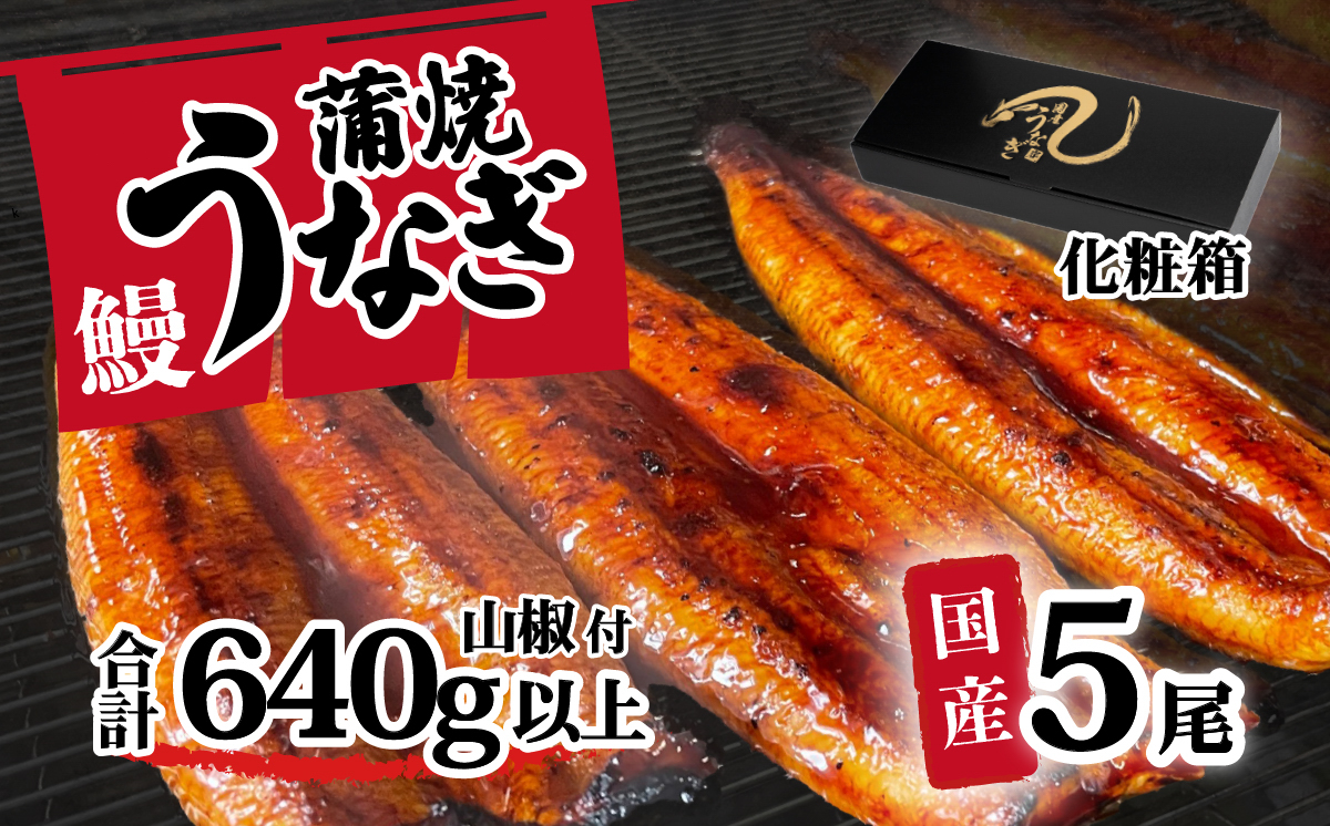 【化粧箱入り】【 訳アリ 】 国産うなぎ 蒲焼き 5尾 セット ( 640g 以上) 大きさ の不揃い 山椒付き ウナギ 鰻 ふぞろい 不揃い うな重 ひつまぶし 人気 茨城 八千代町 ふるさと納税 冷凍ギフト 化粧箱 【ギフト】上うなぎ 5尾