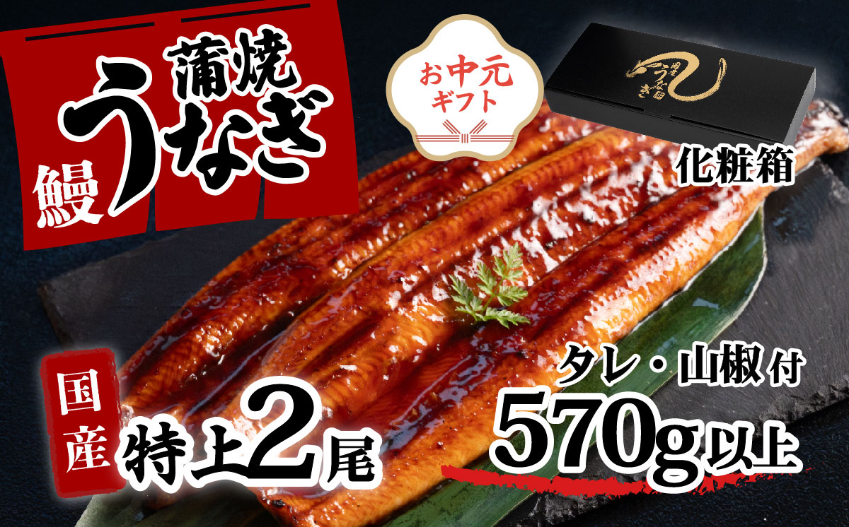 【 お中元 】【化粧箱入り】特上 国産うなぎ 蒲焼 2尾セット 【合計570g以上】 タレ・山椒付 ウナギ 鰻 うな重 ひつまぶし 人気 茨城 八千代町 ふるさと納税 冷凍 ギフト 化粧箱 お中元 中元 熨斗 【お中元】特上うなぎ 2尾 | 寄附金額：16,000円