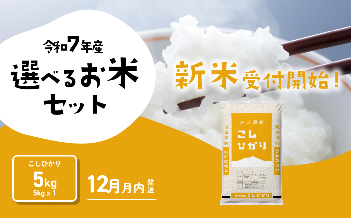 【12月発送】コシヒカリ 5kg 令和7年産 新米 茨城県産 白米 精米 茨城県 お米 米 [SF326yai] 【12月発送】コシヒカリ 5kg(5kg×1袋)