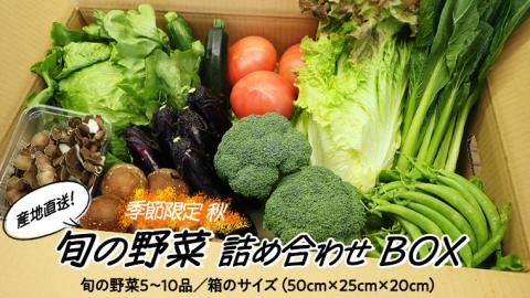 【 季節限定 秋 】 産地直送 ！ 旬 の 産直 野菜 セット 詰め合わせ BOX 新鮮 詰合せ つめあわせ 直送 茨城 茨城県 おまかせ [CN001ya]