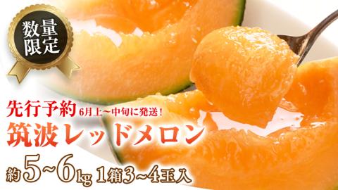 筑波レッドメロン 1箱 3玉 ～ 4玉 入り（ 約 5kg ～ 6kg ）【2026年6月上旬以降発送】 赤肉　数量限定 メロン レッド 赤肉 甘い 期間限定 産地直送 [BU002ya] 筑波レッドメロン 3玉～4玉