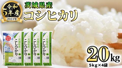 【 先行予約 】 令和5年産 茨城県産 コシヒカリ ( 精米 ) 20kg ( 5kg × 4袋 ) 米 こめ 白米 コメ こしひかり 単一米 限定[AK016ya]