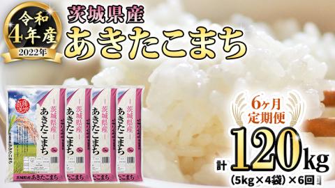 [6ヶ月定期便] 令和4年産米 茨城県産 あきたこまち (精米) 20kg ( 5kg ×4袋)×6回 計120kg お米 米 白米 精米 大容量 定期便 6回 6ヶ月 単一米 [AK023ya]