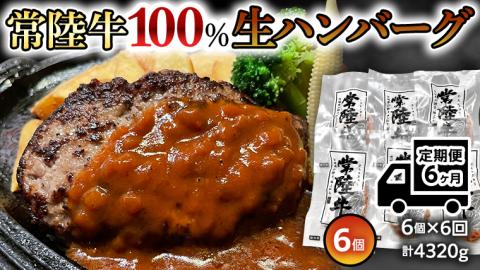 [6ヶ月定期便] 黒毛和牛 常陸牛 100% 特製 プレミアム 生ハンバーグ 120g×6個入り 合計720g 八千代町産 白菜 使用 無添加 無着色 保存料不使用 冷凍 牛 牛肉 [AU056ya]