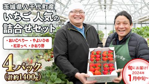 数量限定 農家直送 ♪ 八千代町産 いちご ボリュームパック ( 4パック 計約 1400g ) 人気 [AJ002ya]