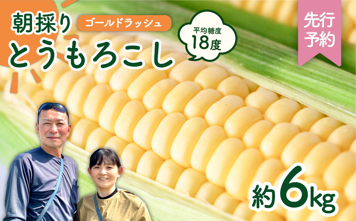 いみる！　静岡県遠州森のとうもろこし20本 朝採り 産地直送 mori0630thumb(1).jpg