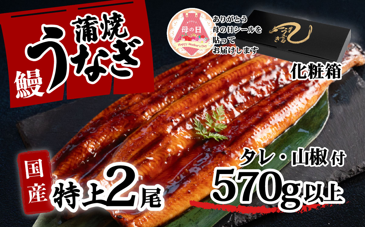 [ 母の日ギフト ][化粧箱入り]特上 国産うなぎ 蒲焼 2尾セット [合計570g以上] タレ・山椒付 ウナギ 鰻 うな重 ひつまぶし 人気 茨城 八千代町 ふるさと納税 冷凍 母の日 ギフト 化粧箱