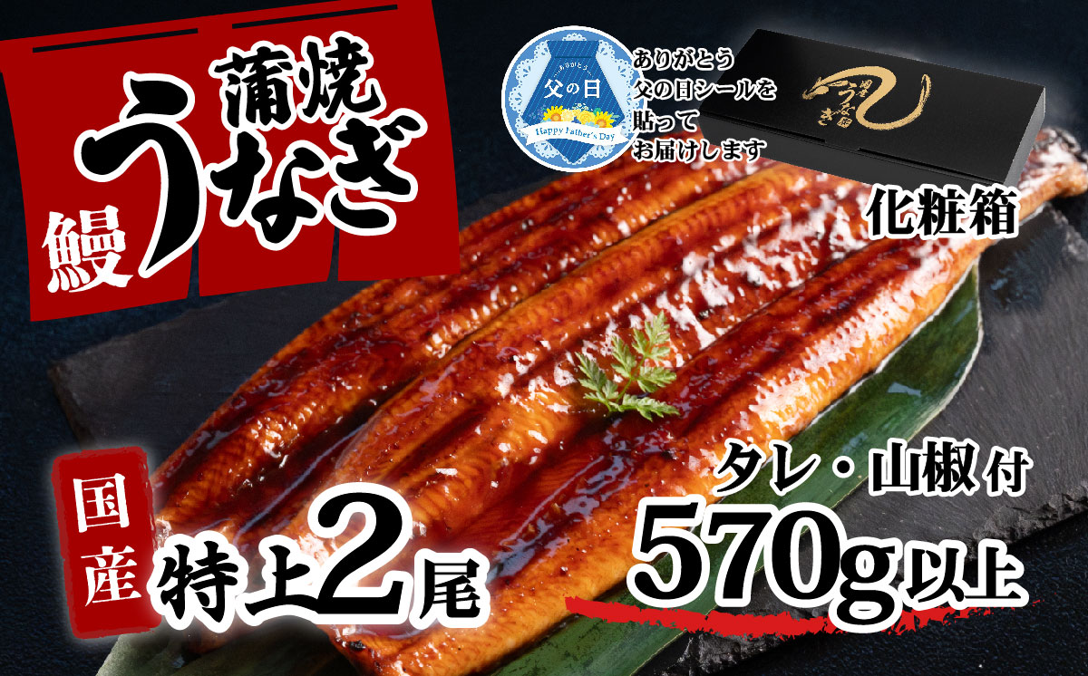 [ 父の日ギフト ][化粧箱入り]特上 国産うなぎ 蒲焼 2尾セット [合計570g以上] タレ・山椒付 ウナギ 鰻 うな重 ひつまぶし 人気 茨城 八千代町 ふるさと納税 冷凍 父の日 ギフト 化粧箱