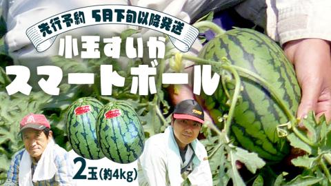 【 先行予約 2026年5月下旬 以降発送 】 小玉 すいか スマートボール 2玉 約 4kg スイカ 西瓜 フルーツ 果物 旬 ふるさと納税 10000円 八千代町 茨城 [CR002ya]