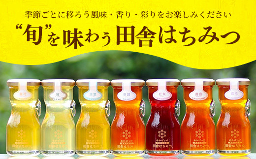 山桜はちみつと春の田舎はちみつの3種セット[Ｂ3山桜] 【茨城県共通返礼品／五霞町】 生ハチミツ 非加熱 はちみつ 蜂蜜 春 ボトル入り セット 人気 茨城県産 五霞町