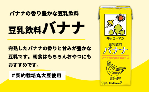 【定期便3回】【合計200ml×54本】豆乳飲料 バナナ 200ml ／ 飲料 キッコーマン 健康 バナナ 豆乳 おやつ 豆乳飲料 大豆 パック セット 飲み切り 小腹満たし 豆乳プリン 定期便 茨城県 五霞町【価格改定】