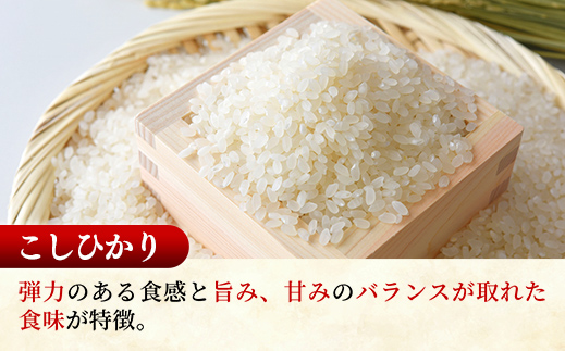 ☆令和7年産☆ 新米 『こしひかり』(5kg×1袋) 『あきたこまち』(5kg×1袋)　出荷日に合わせて精米 コシヒカリ あきたこまち 米 お米 10kg コメ こめ 食べ比べ セット 人気 家計応援 家庭用 中山産業 茨城県産 茨城県 五霞町【価格変更AA】 『こしひかり』(5kg×1袋) 『あきたこまち』(5kg×1袋)　\22,500
